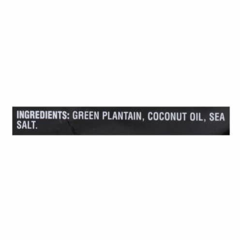 Terra Sea Salt Plantain Vegetable Chips Perspective: back