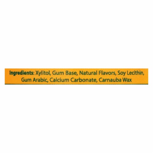 Epic Dental - Xylitol Gum - Fresh Fruit - 50 Pieces Perspective: back