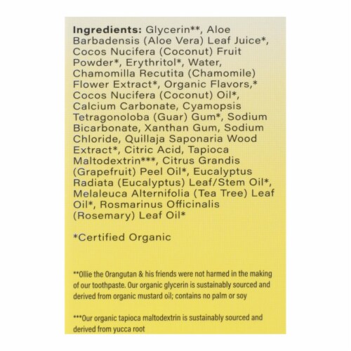 Radius Coconut Banana With Organic Chamomile Flower & Coconut Oil Toothpaste Perspective: back