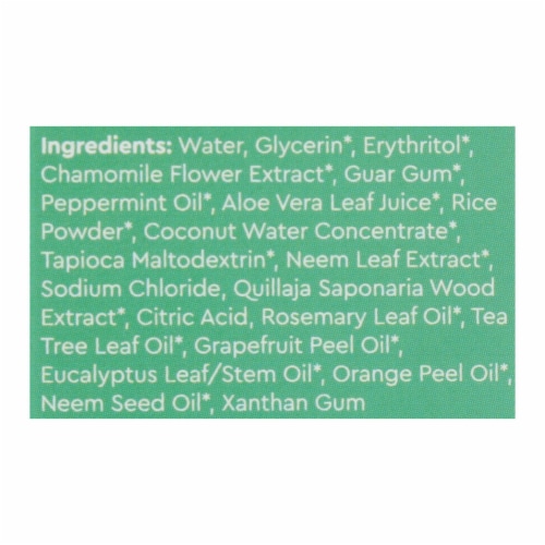Radius Whitening Mint Aloe Neem Toothpaste  - 1 Each - 3 oz. Perspective: back