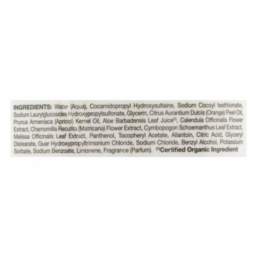 Jason Satin Shower Body Wash Citrus - 30 fl oz. Perspective: back