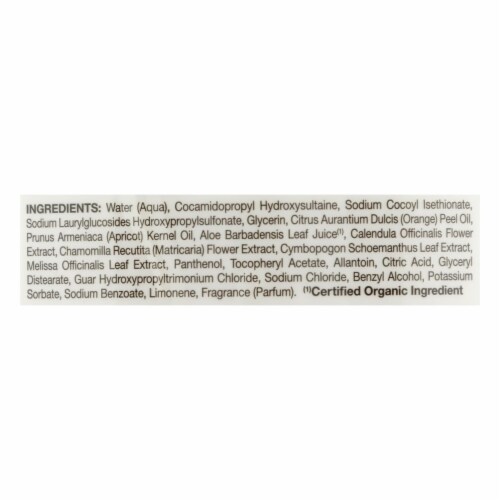 Jason Satin Shower Body Wash Citrus - 30 fl oz. Perspective: back