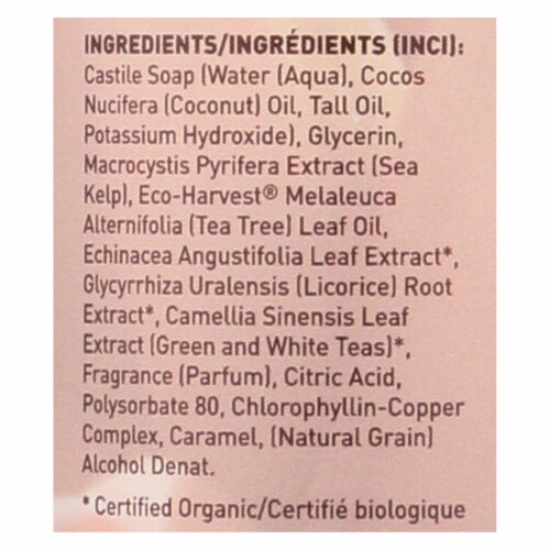 Desert Essence - Thoroughly Clean Face Wash with Eco Harvest Tea Tree Oil And Sea Kelp Perspective: back