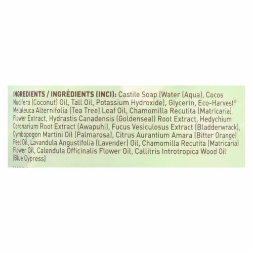 Desert Essence - Thoroughly Clean Face Wash - Original Oily and Combination Skin - 32 fl oz. Perspective: back