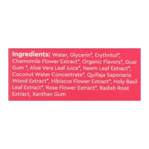 Radius - Tthpste Drgn Fruit Chld - 1 Each - 3 oz. Perspective: back