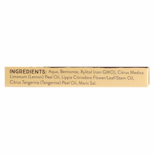 Redmond Trading Company Earthpaste - Lemon Twist - 4 oz Perspective: back