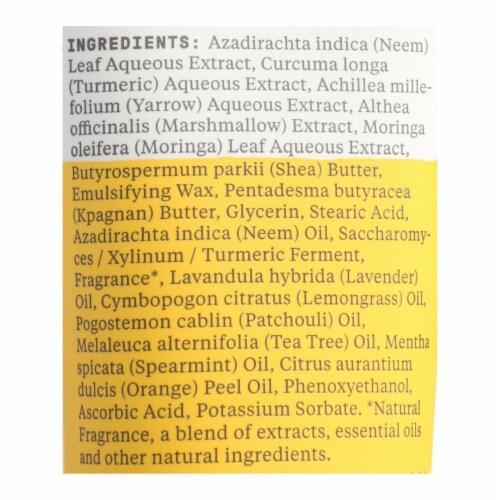 Alaffia - Day Cream Neem Turmeric - 1 Each - 3 FZ Perspective: back