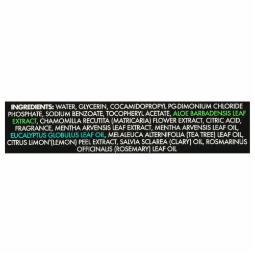 Dude Wipes - Wipes Body Mint Chill - 1 Each-30 CT Perspective: back