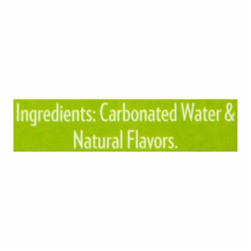 Adirondack - Sltzr Sparkling Water Lemon Lime - Case of 3-8/12 FZ Perspective: back
