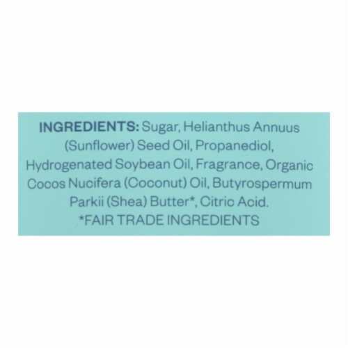 Hand In Hand - Sugar Scrub Sea Salt - 1 Each 1-9 OZ Perspective: back