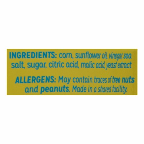 Love Corn - Roasted Corn Salt N Vinegar - Case of 10-1.6 OZ Perspective: back