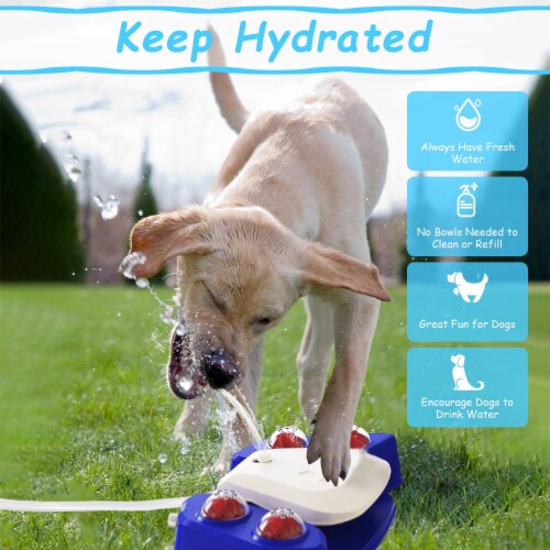 Dog activated outdoor fountain online