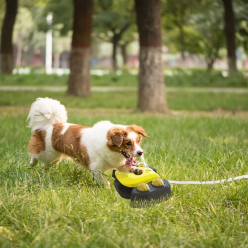 Outdoor dog fountain shop