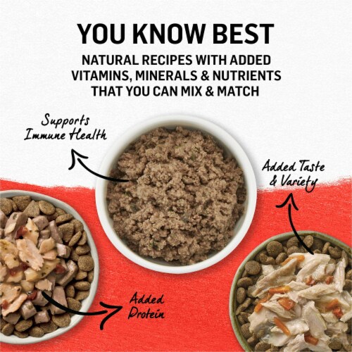 Beyond purina wet dog food online
