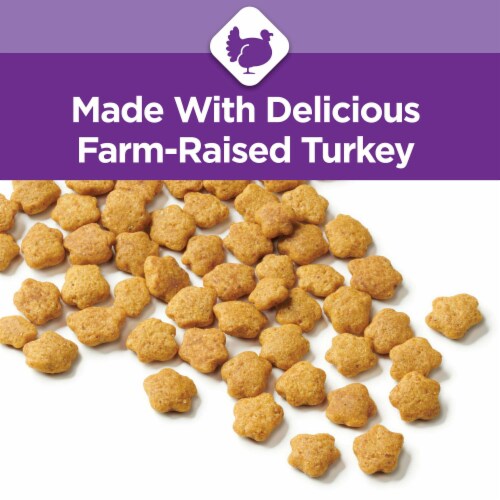 Purina Cat Chow Sensitive Stomach Turkey Dry Cat Food Bag 1 Pack Ralphs