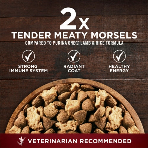 Purina One True Instinct Dry Dog Food Beef And Salmon 27.5 Lb Bag 1 Pack Gerbes Super Markets