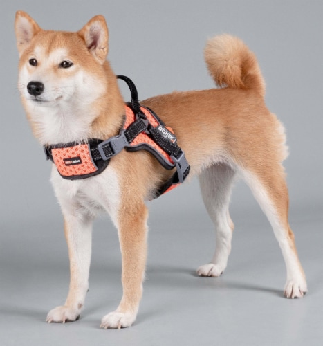 Dog Helios - 'Scorpion' Sporty High-Performance Free-Range Dog Harness Perspective: back
