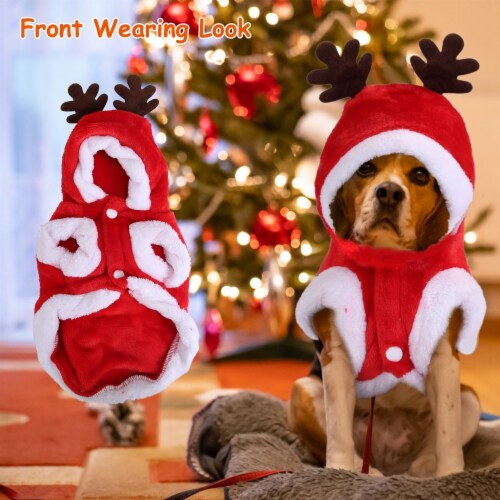 Edge Collections Santa Claus Reindeer Antlers Pet Christmas Costume 1 Ct Harris Teeter