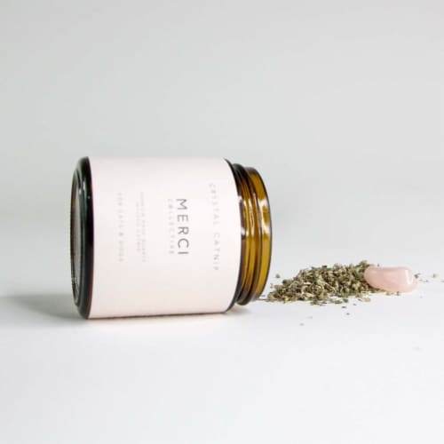 Rose Quartz-Infused Catnip for Pets - Indulge Your Pets with Crystal-Infused Bliss Perspective: back