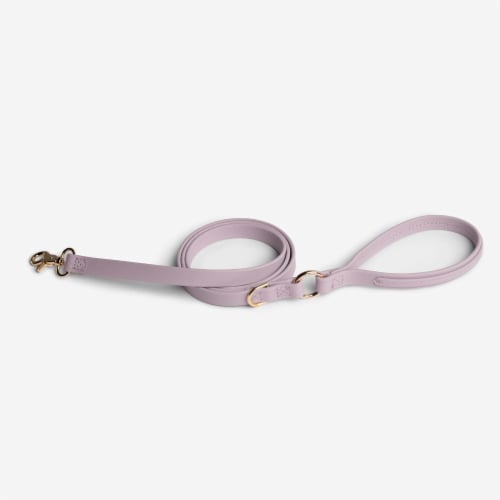 Merci Collective - Jump Around - Luxury Waterproof Durable Dog Leash Perspective: back