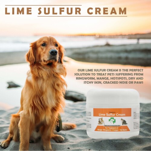 Healthy Paw Life - Lime Sulfur Itchy and Dry Skin Pet Skin Cream Perspective: back