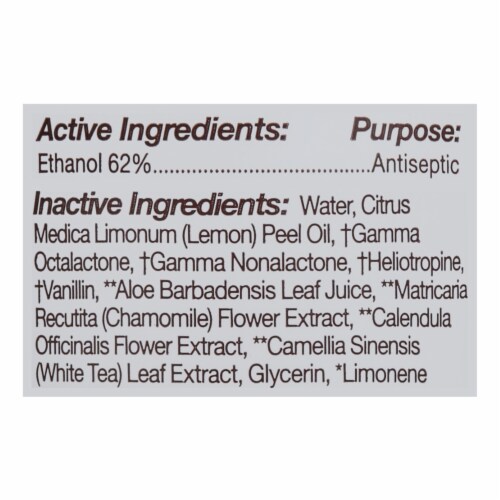 Everyone Hand Sanitizer Spray Coconut Lemon - 1 Each - 8 Fz Perspective: back