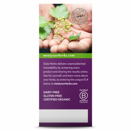 Gaia® Herbs Organic Kids Bronchial Wellness Syrup Perspective: back