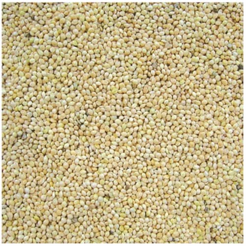 Cole's CWBMI10 White Millet Bird Seed, 10-Pound Perspective: back