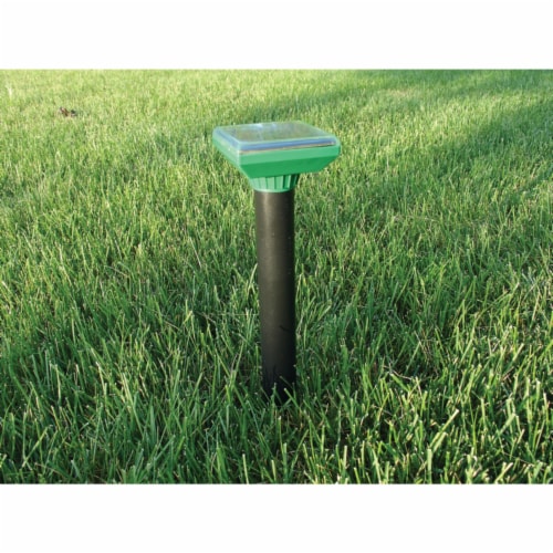 P3 P7911 Sol Mate Mole Repeller Perspective: back