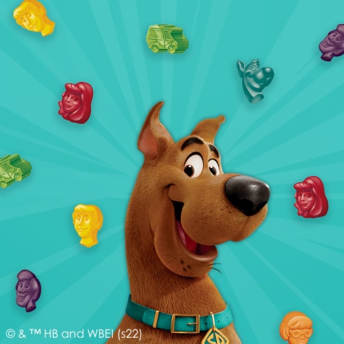 Scooby Doo Fruit Flavored Snacks, Gummy Treat Pouches, (Pack of 2) Perspective: back