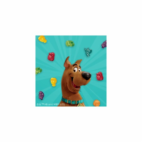 Scooby Doo Fruit Flavored Snacks, Gummy Treat Pouches, (Pack of 14) Perspective: back