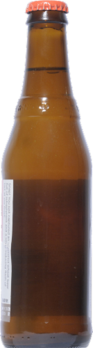 New Belgium Snapshot Wheat Beer Perspective: back