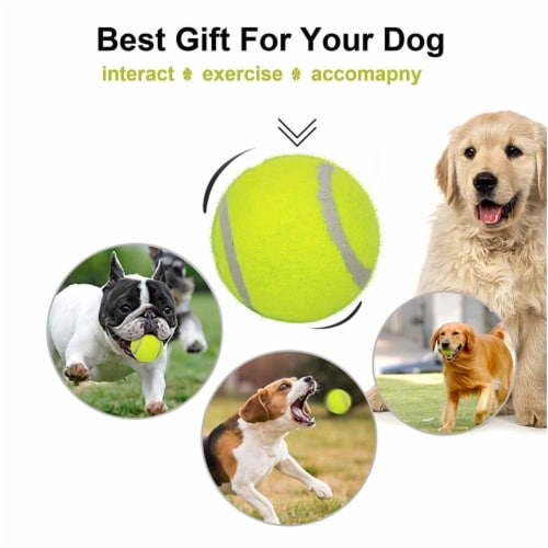 Dog Tennis Balls 20 Pack Pet Tennis Ball for Small Dogs Premium Fetch Toy Non-Toxic Perspective: back