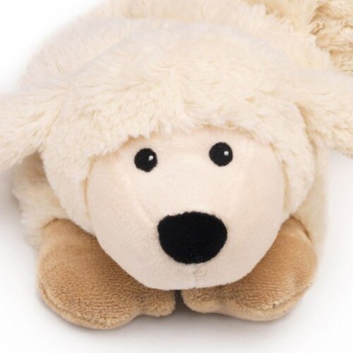 intelex sheep