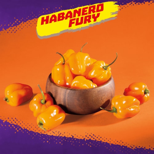 Takis Habanero Fury Kettlez Habanero Kettle-Cooked Potato Chips Perspective: back