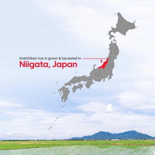 iris-usa-koshihikari-from-niigata-japanese-premium-short-grain-white