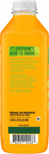Evolution Fresh® Organic Defense Up® Cold-Pressed Fruit Juice Smoothie Perspective: back