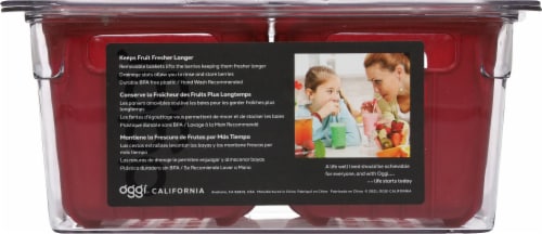 OGGI® Berry Basket Bin Perspective: back
