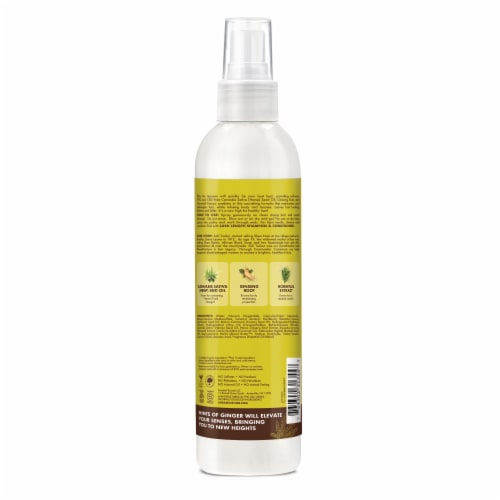 Shea Moisture Cannabis Sativa Seed Oil Lush Length Lite Leave-In Hair Treatment Perspective: back
