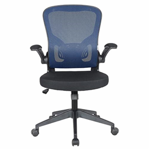 LeisureMod Newton Mesh Office Chair Perspective: back