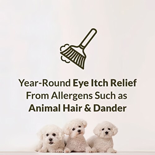 Bausch Lomb Alaway Antihistamine Eye Drops 0.33 Oz by Bausch and Lomb Pack of 18 18 pack Kroger