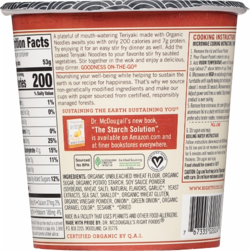 Dr.McDougalls Teriyaki Noodles Perspective: back