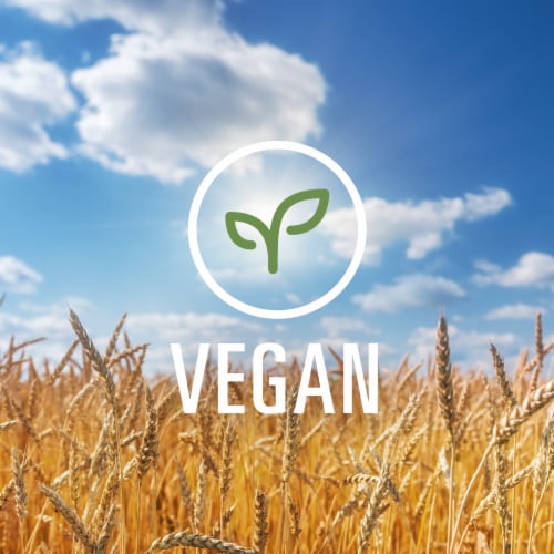 Dreamfields Vegan with Fiber Angel Hair Pasta Perspective: back