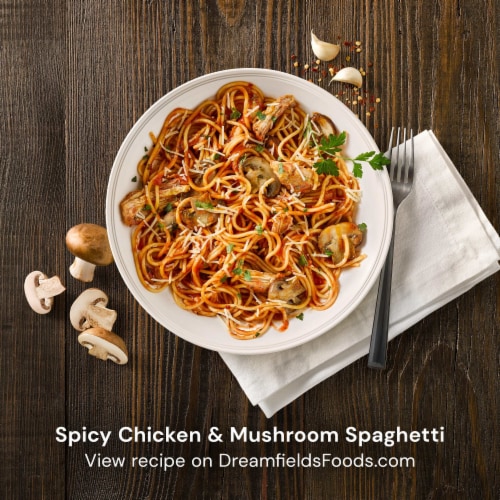 Dreamfields Vegan with Fiber Spaghetti Pasta Perspective: back