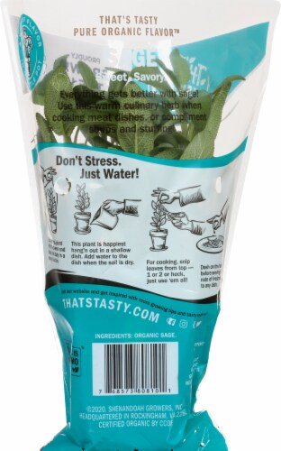 That's Tasty Living Organic Sage Herb Perspective: back
