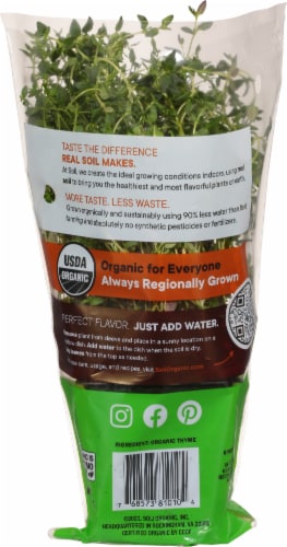 Soli Organic™ Living Thyme Perspective: back