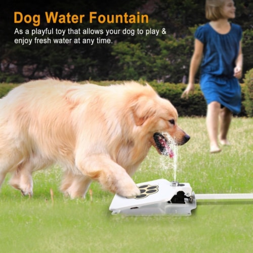 Outdoor pet drinking online fountain