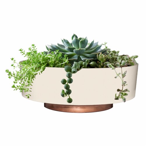 The HC Companies Vanilla Bisque Capri Bowl Planter Perspective: back