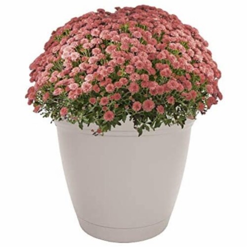 The HC Companies Plastic Eclipse Round Planter - Cottage Stone Perspective: back