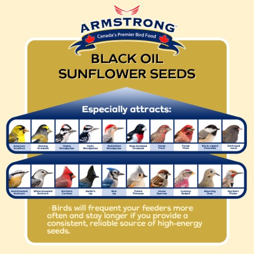 Armstrong Wild Bird Food Black Oil Sunflower Bird Seed Blend, 15.4lbs